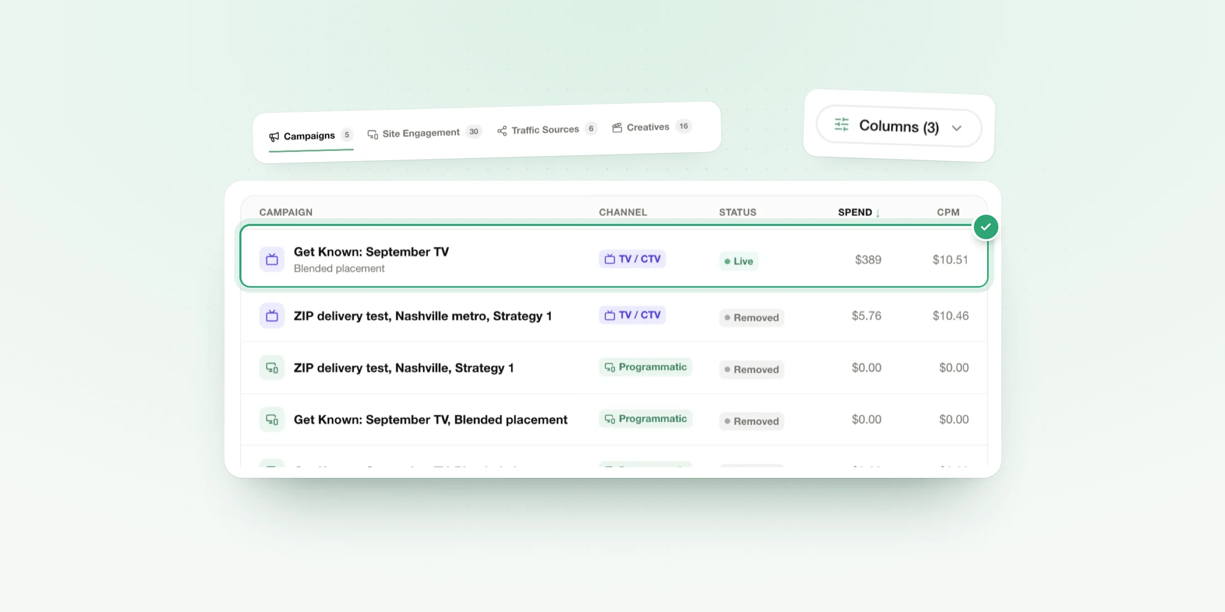 Spend, CPM and placement. Down to the individual TV campaign.